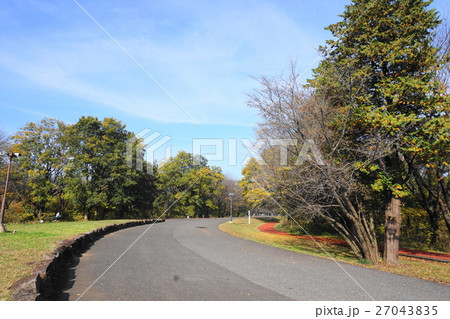 和光樹林公園 和光樹林公園 27043835