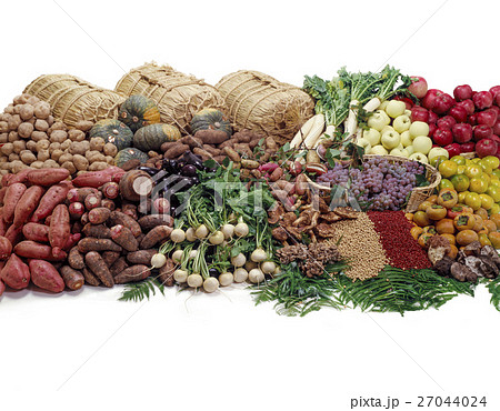 農作物大集合 27044024