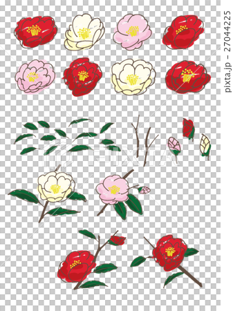 手繪山茶花 27044225