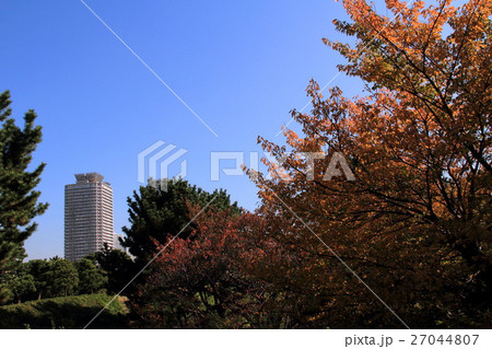 お台場の紅葉と高層マンション（東京） 27044807