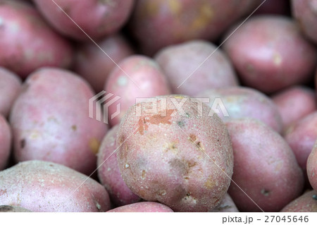 Organic Fruit and vegetables 27045646