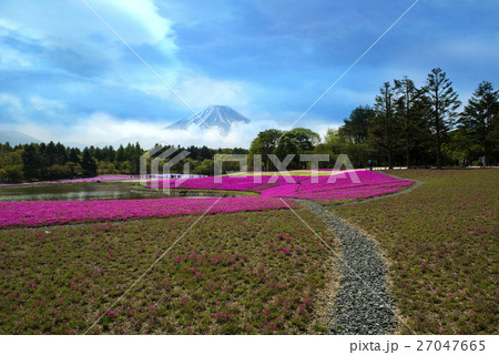 Japan Japan 27047665