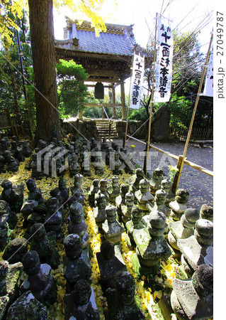 鎌倉　杉本寺 27049787