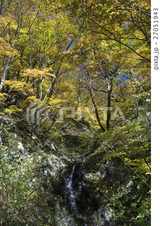 紅葉の谷 27051943