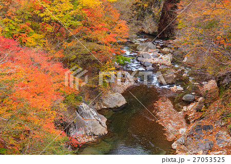 栃木県日光市　川俣　間欠泉より（11月） 27053525