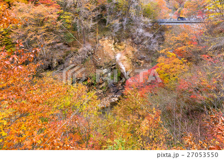栃木県日光市 川俣 間欠泉より(11月) 栃木県日光市 川俣 間欠泉より(11月) 27053550