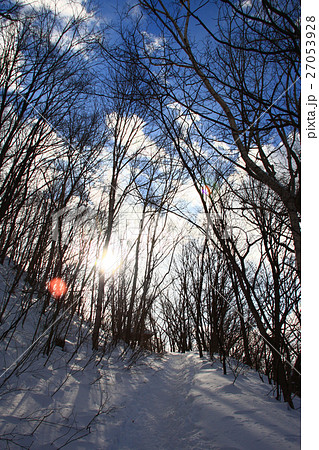 冬の札幌自然歩道 三角山~盤渓ルートの朝 冬の札幌自然歩道 三角山~盤渓ルートの朝 27053928
