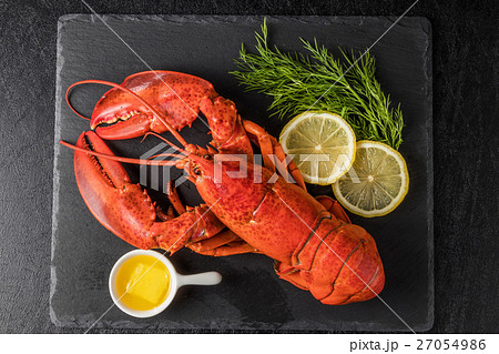 高級ロブスター　 High-quality lobster 27054986