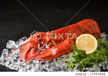 高級ロブスター  High-quality lobster 高級ロブスター  High-quality lobster 27054988
