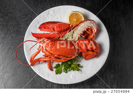高級ロブスター　 High-quality lobster 27054994