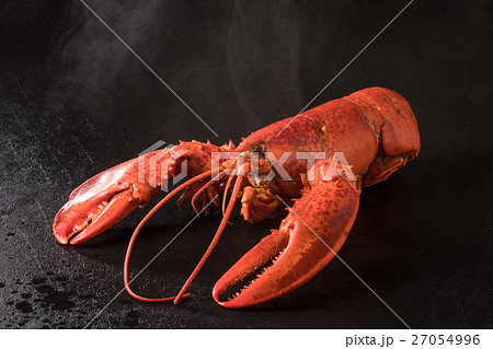 高級ロブスター  High-quality lobster 高級ロブスター  High-quality lobster 27054996