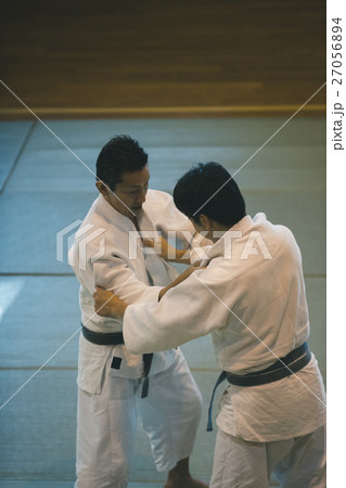 martial artist martial artist 27056894