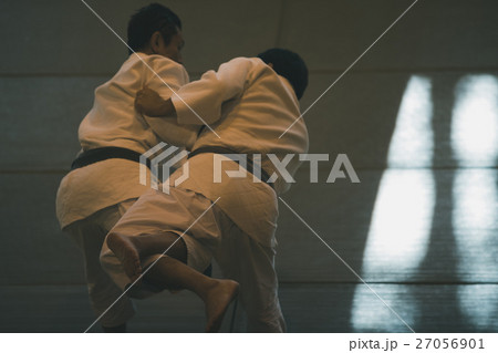 martial artist martial artist 27056901