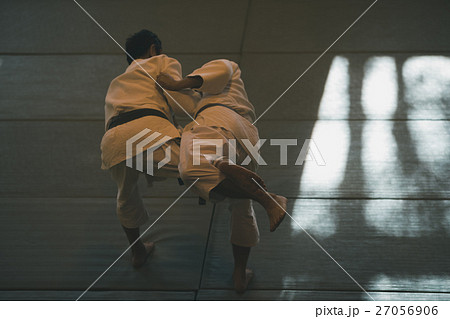 martial artist 27056906