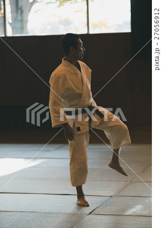 martial artist 27056912
