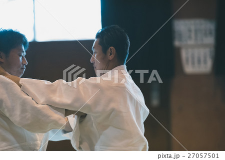 martial artist martial artist 27057501