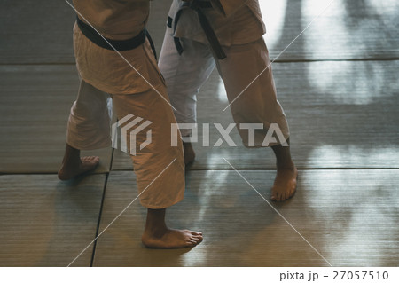 martial artist 27057510