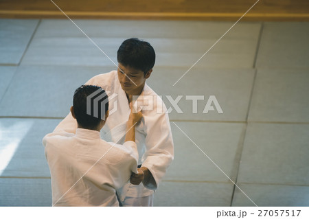 martial artist martial artist 27057517