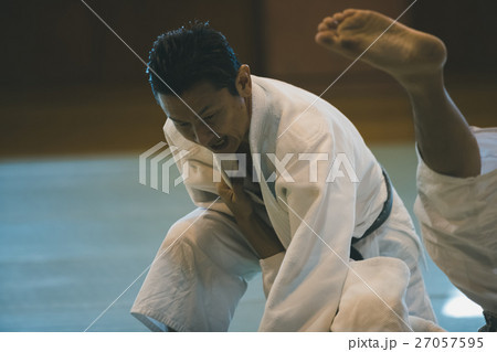 martial artist martial artist 27057595