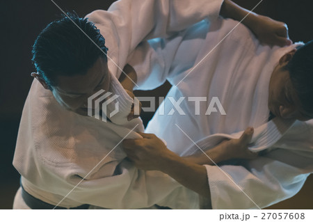 martial artist martial artist 27057608