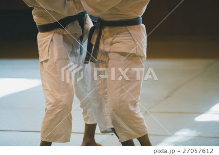 martial artist martial artist 27057612