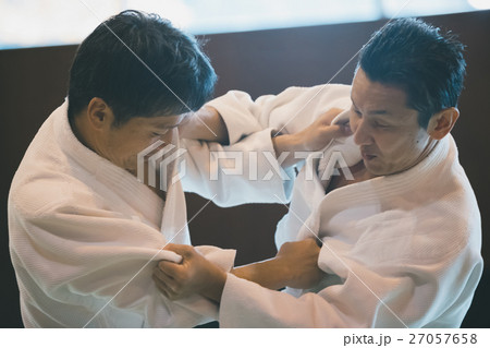 martial artist 27057658