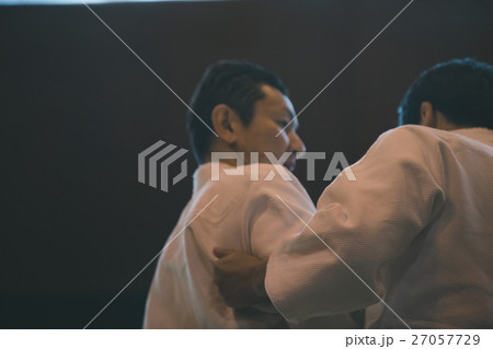 martial artist martial artist 27057729