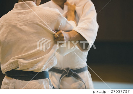 martial artist 27057737