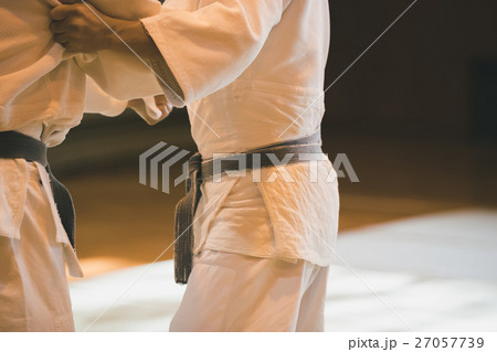 martial artist 27057739