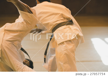 martial artist 27057754