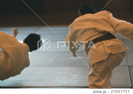 martial artist martial artist 27057757