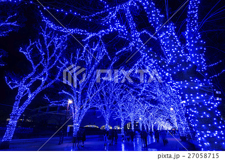 青の洞窟SHIBUYA 27058715