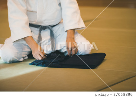 martial artist 27058896