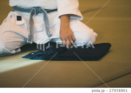 martial artist martial artist 27058901