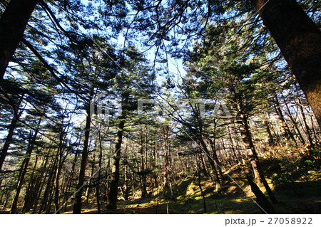 須山口登山道 須山口登山道 27058922