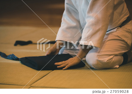 martial artist martial artist 27059028