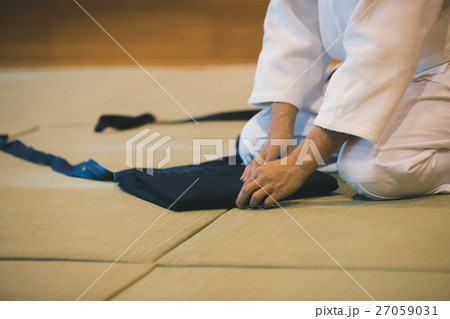 martial artist martial artist 27059031