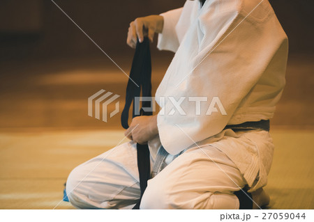 martial artist 27059044