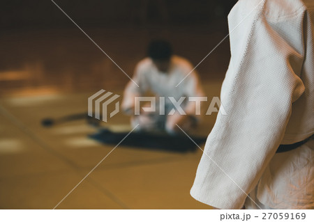 martial artist martial artist 27059169