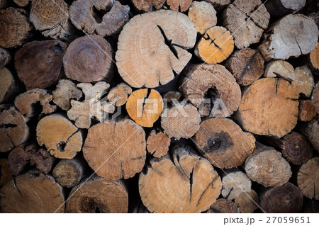 Round wood tree circle stump cutted background Round wood tree circle stump cutted background 27059651
