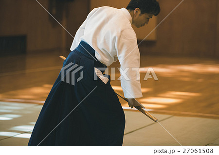 martial artist 27061508