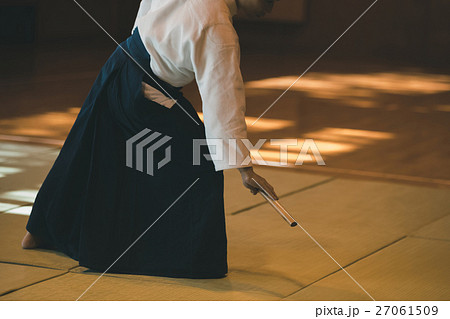 martial artist 27061509