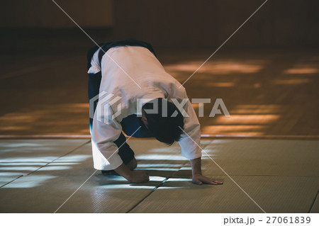 martial artist martial artist 27061839