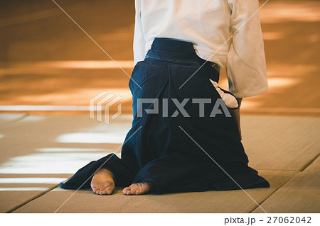 martial artist martial artist 27062042