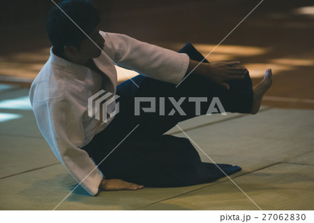 martial artist martial artist 27062830