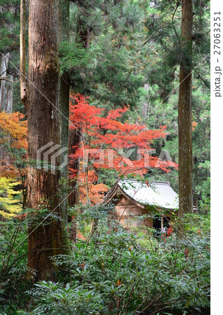 秋の小國神社　古代の森 27063251
