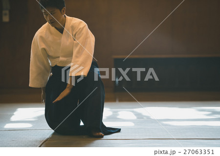 martial artist martial artist 27063351