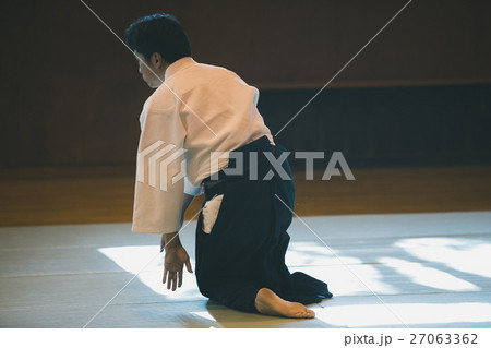 martial artist martial artist 27063362