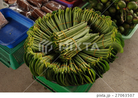 キンマの葉（コタキナバル／東マレーシア･ボルネオ島） 27063507