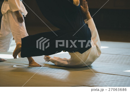 martial artist martial artist 27063686
